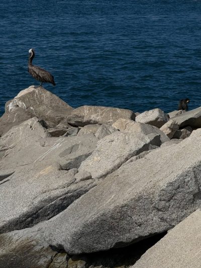La Marina Cabo San Lucas BCS в июле — фото погоды (2026-07-12)