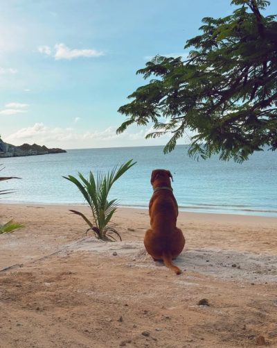Reduit Beach, St. Lucia в январе — фото погоды (2026-01-30)