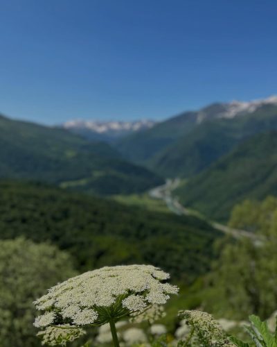 Смотровая площадка в июне — фото погоды (2025-06-13)
