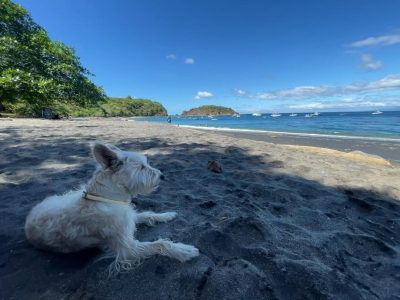 Playa Ocotal в ноябре — фото погоды (2025-11-27)