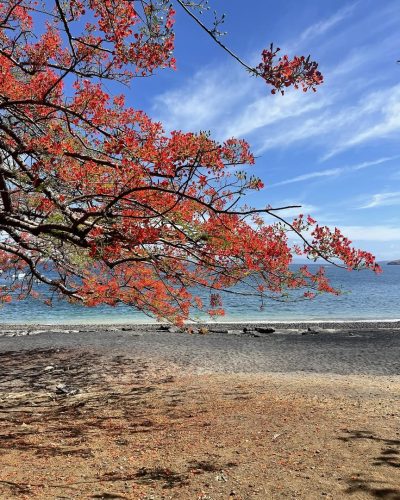 Playa Ocotal в апреле — фото погоды (2026-04-30)
