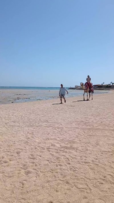 Stella Di Mare Beach Resort & Spa Makadi Bay в сентябре — фото погоды (2025-09-09)