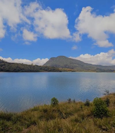 Strawberry Garden, Kandaela, Nuwara Eliya в марте — фото погоды (2026-03-14)