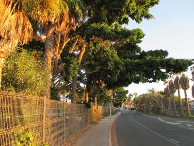 Gran Canaria - Maspalomas — фото погоды в декабре (2025-12-30)