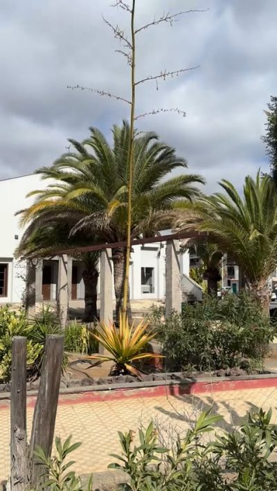 Gran Canaria - Maspalomas — фото погоды в январе (2026-01-22)