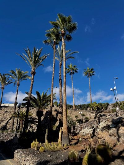 Gran Canaria - Maspalomas — фото погоды в феврале (2026-02-19)