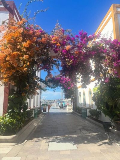 Gran Canaria - Maspalomas — фото погоды в июне (2026-06-27)