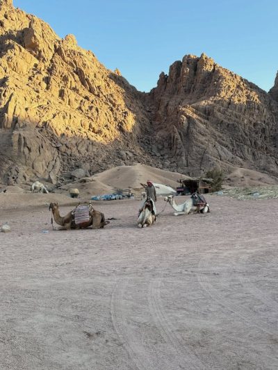 Sinai Desert в июне — фото погоды (2026-06-30)