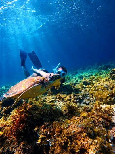 Moalboal Cebu Island в июне — фото погоды (2026-06-02)