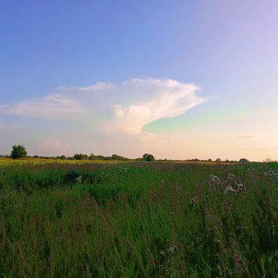 Красивое место в июле — фото погоды (2025-07-30)
