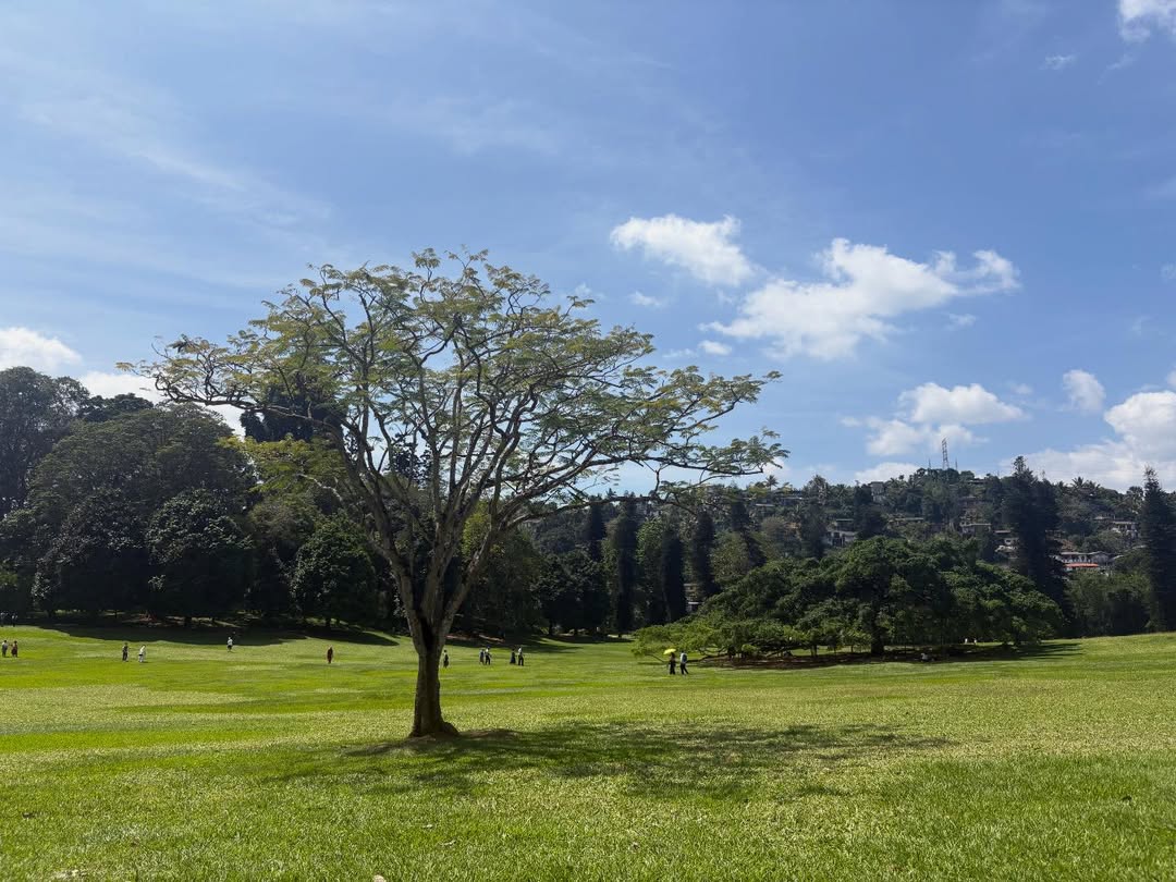 Погода в Royal Botanical Gardens, Peradeniya