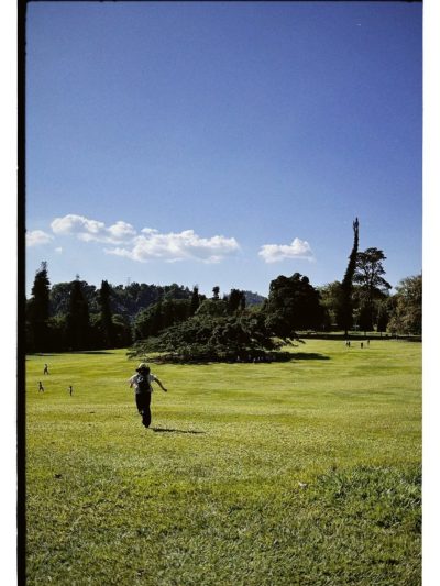 Royal Botanical Gardens, Peradeniya в марте — фото погоды (2026-03-23)