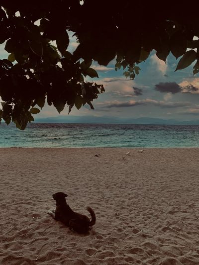 White Beach, Basdaku Moalboal Cebu в июле — фото погоды (2026-07-09)