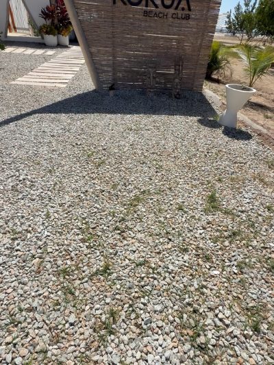 Playa El Yaque Isla Margarita в январе — фото погоды (2026-01-14)