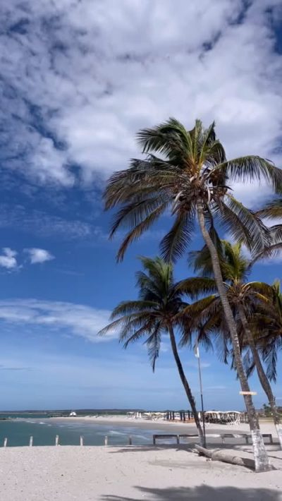 Playa El Yaque Isla Margarita в апреле — фото погоды (2026-04-12)