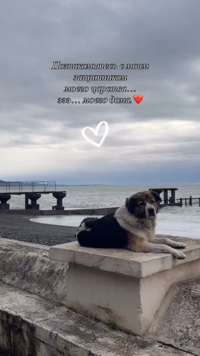 Сухум в феврале — фото погоды (2026-02-09)