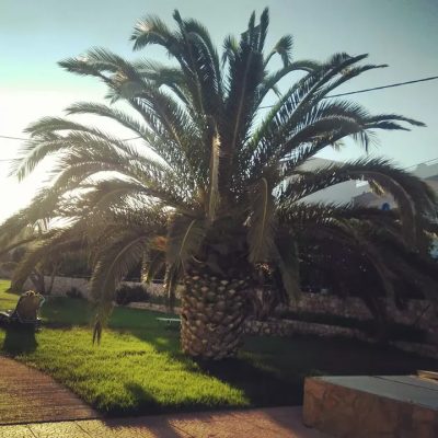 Faliraki Sevastos Hotel — фото погоды в октябре (2021-10-03)