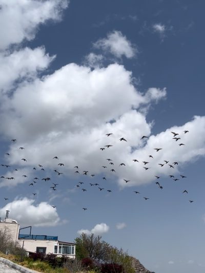 Güvercinlik Vadisi Uçhisar в июне — фото погоды (2026-06-02)