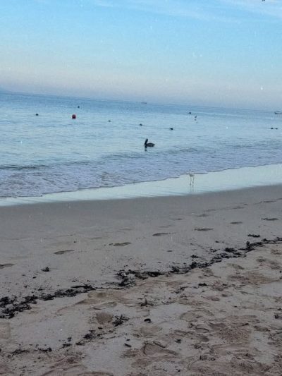 Hotel Friendly Fun Vallarta — фото погоды в июле (2026-07-06)