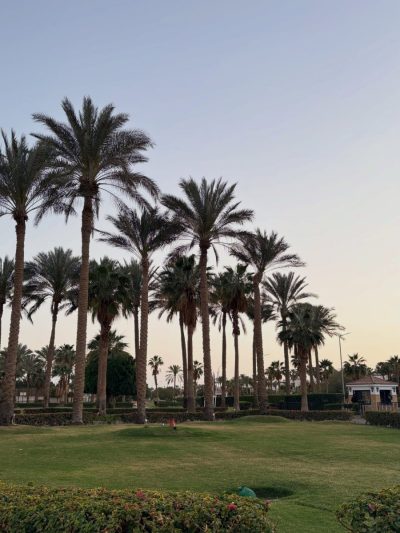 Anphoras Village, Sharm El Sheik! в мае — фото погоды (2026-05-11)