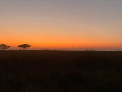 Serengeti National Park в сентябре — фото погоды (2024-09-19)