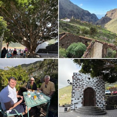 Princess Inspire Tenerife в январе — фото погоды (2026-01-20)