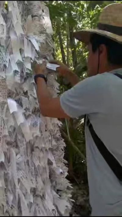 Santuario Maria Desatadora de Nudos в мае — фото погоды (2026-05-29)