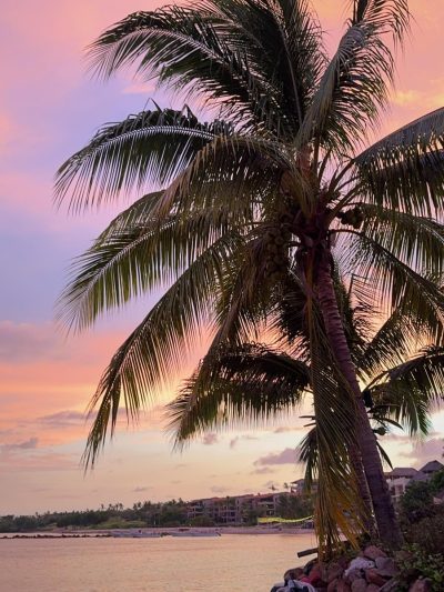 Sayulita, Nayarit в августе — фото погоды (2025-08-11)