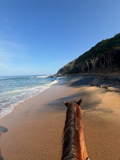 Sayulita, Nayarit в январе — фото погоды (2026-01-07)