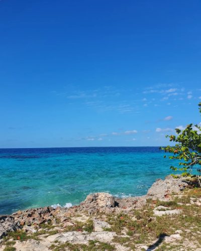 Cuba Baie des Cochons в июне — фото погоды (2022-06-20)