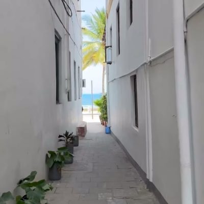 Prison Island Zanzibar в январе — фото погоды (2026-01-25)