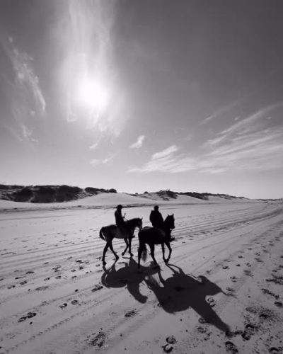 La Plage D'Essaouira в ноябре — фото погоды (2025-11-09)