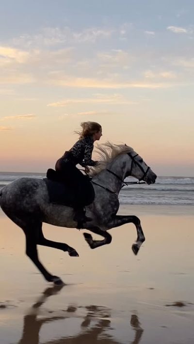 La Plage D'Essaouira в феврале — фото погоды (2026-02-28)