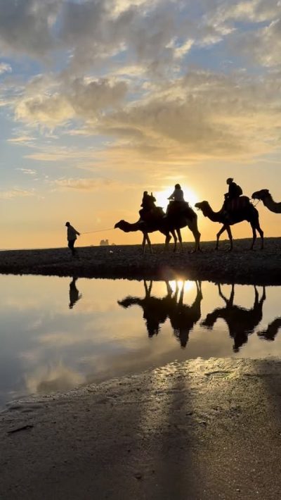 La Plage D'Essaouira в марте — фото погоды (2026-03-26)