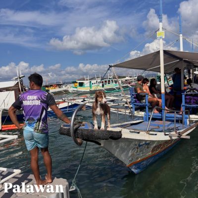 Palawan, Philippines в марте — фото погоды (2026-03-19)