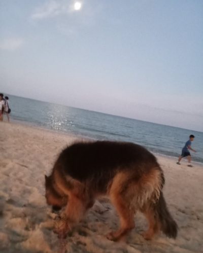 Lamai Beach, Koh Samui, Thailand в октябре — фото погоды (2025-10-05)