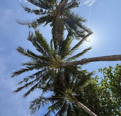 Lamai Beach, Koh Samui, Thailand в январе — фото погоды (2026-01-07)