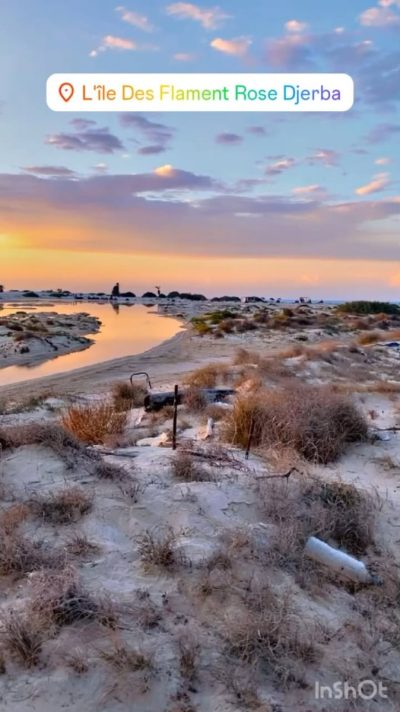L'île Des Flament Rose Djerba в сентябре — фото погоды (2024-09-19)