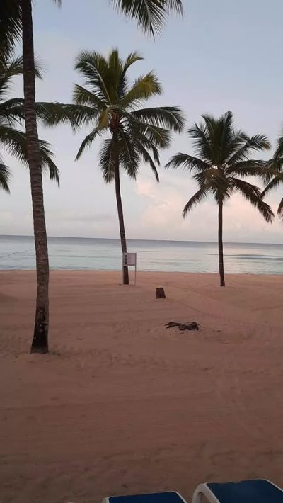 VIVA WYNDHAM DOMINICUS BEACH & PALACE — фото погоды в ноябре (2025-11-29)