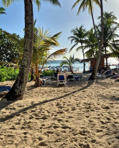 VIVA WYNDHAM DOMINICUS BEACH & PALACE — фото погоды в декабре (2025-12-25)