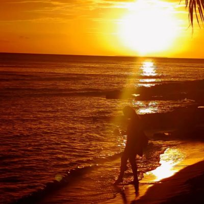 VIVA WYNDHAM DOMINICUS BEACH & PALACE — фото погоды в марте (2026-03-22)