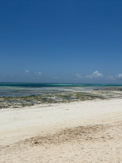 Karafuu Hotel Beach Resort - Zanzibar — фото погоды в октябре (2025-10-19)