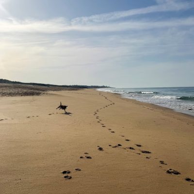 Praia dos Salgados в апреле — фото погоды (2026-04-27)