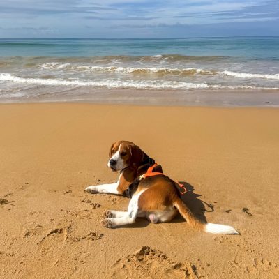 Praia dos Salgados в апреле — фото погоды (2026-04-30)