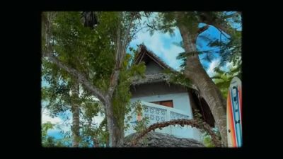Kidoti Wild Garden в ноябре — фото погоды (2025-11-24)