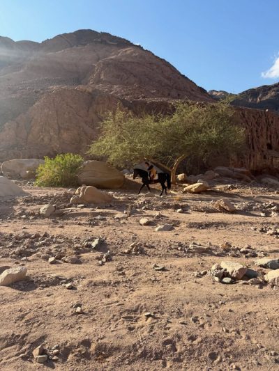 Wadi Gnai в декабре — фото погоды (2025-12-21)