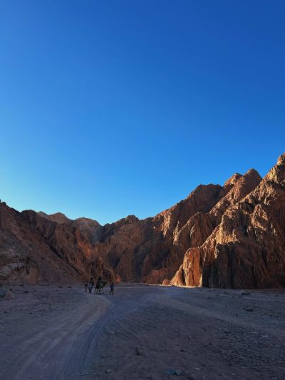 Wadi Gnai в январе — фото погоды (2026-01-25)
