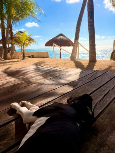 Half Moon Bay, North Akumal Mexico в октябре — фото погоды (2025-10-25)