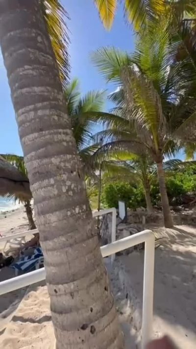 Half Moon Bay, North Akumal Mexico в ноябре — фото погоды (2025-11-23)