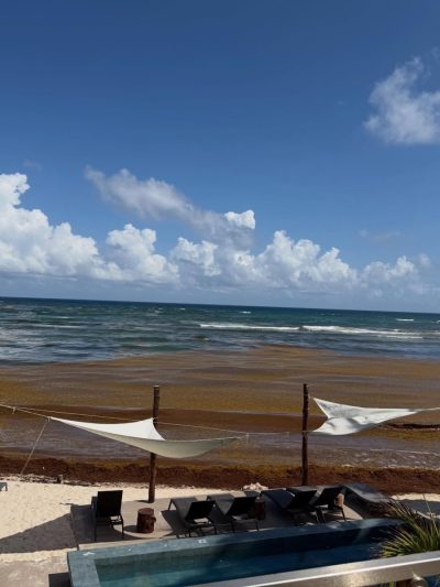 Half Moon Bay, North Akumal Mexico в марте — фото погоды (2026-03-20)